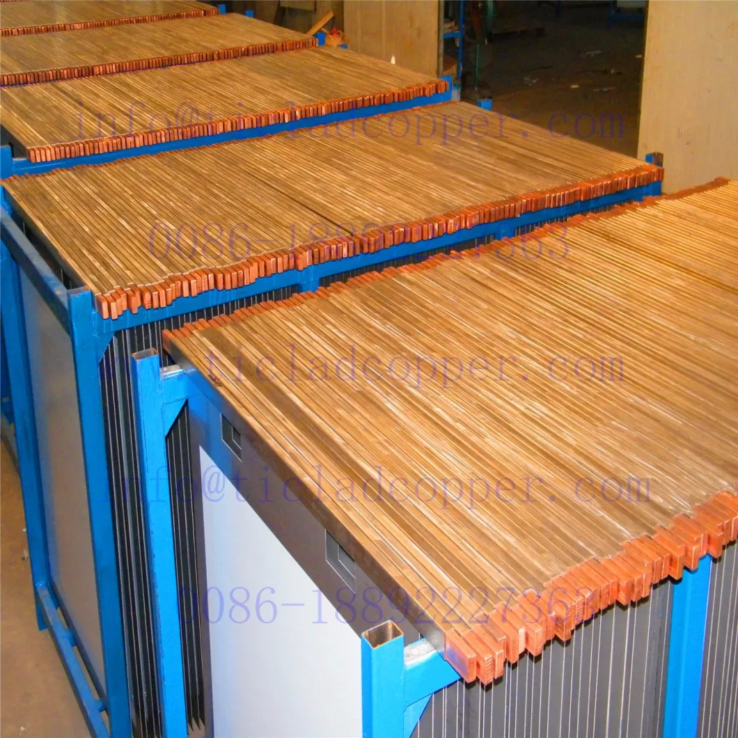 Titanium Clad Cathode Plate/ Lead Metal Anode Plate for Copper Electrowinning System